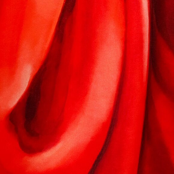 Moschino SS/17 Runway 2D Red Bow Skirt - Picture 9 of 15